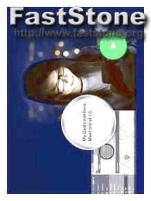 Flexispy Login Problems